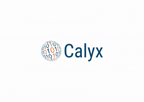 Calyx Servicios